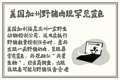 做暧暧超长免费视频大全